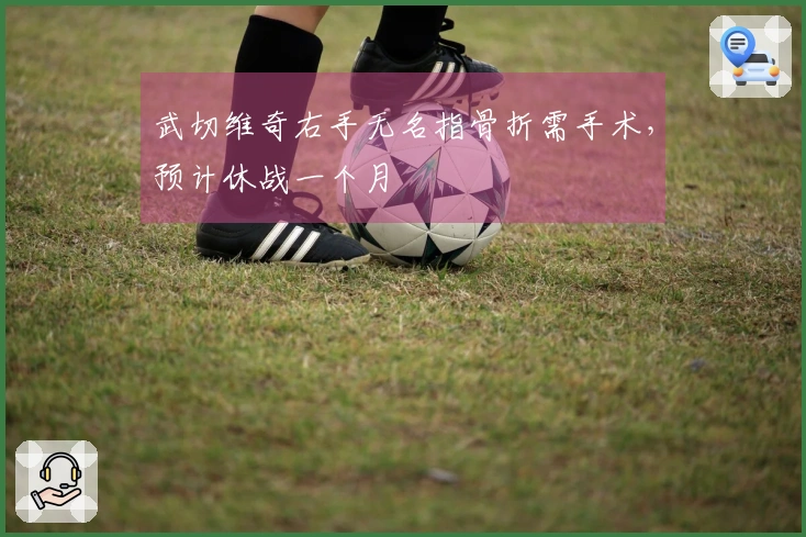 武切维奇右手无名指骨折需手术，预计休战一个月