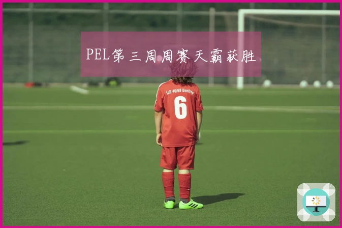 PEL第三周周赛天霸获胜