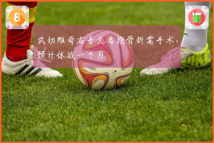 武切维奇右手无名指骨折需手术，预计休战一个月